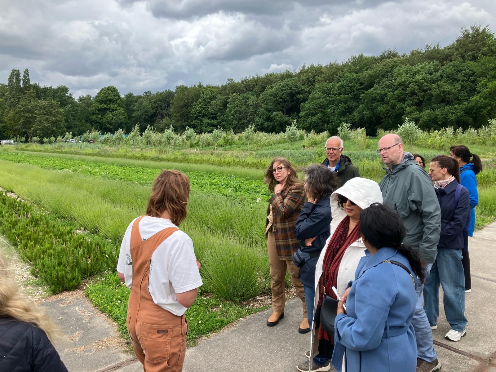 Terugblik: Tuinderij Wijdehorst